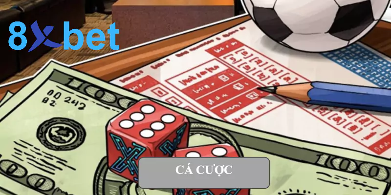 Cá cược – Hướng dẫn chi tiết nhất dành cho người mới bắt đầu