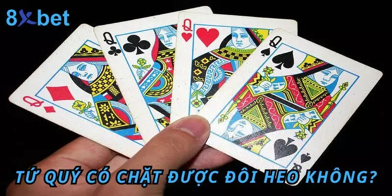 Tứ Quý Có Chặt Được Đôi Heo Không? Quy Định Cụ Thể Nhất