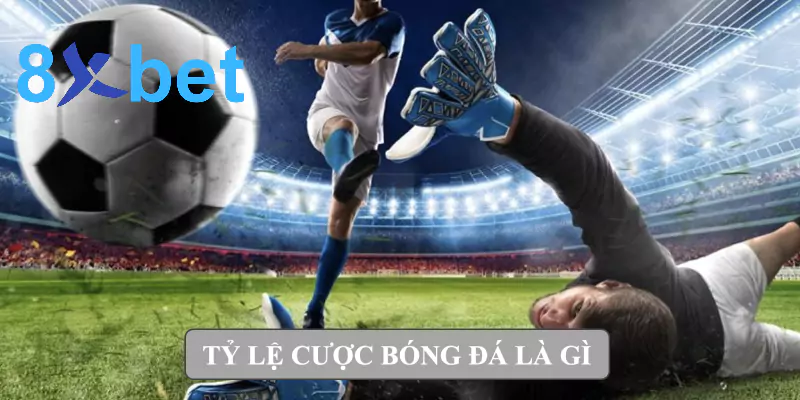 Tỷ lệ cược bóng đá là gì? Giải thích tỷ lệ cá cược dễ hiểu